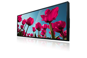 29.3" Ultra Wide Stretched LCD Monitor (1920x710) 1000 NIT